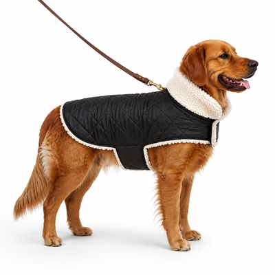 Campera Puffer Negra con Corderito Blanco 