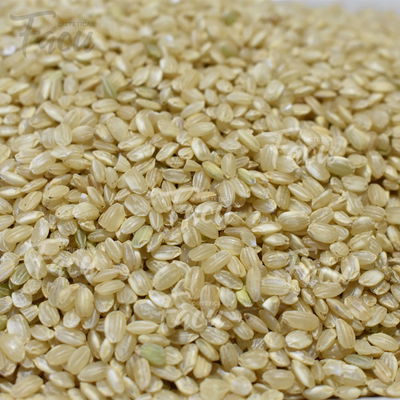 ARROZ YAMANI INTEGRAL X 1KG