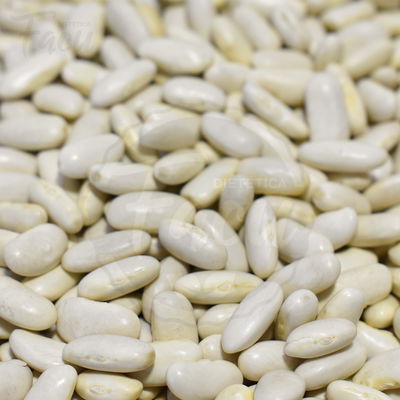 POROTOS ALUBIAS X 1KG