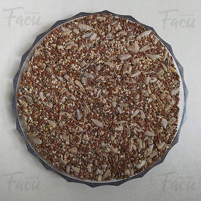 MIX SEMILLAS X 1KG
