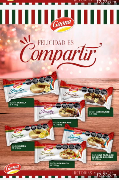BUDIN GAONA SAV. SURTIDOS 15 X 180 GS