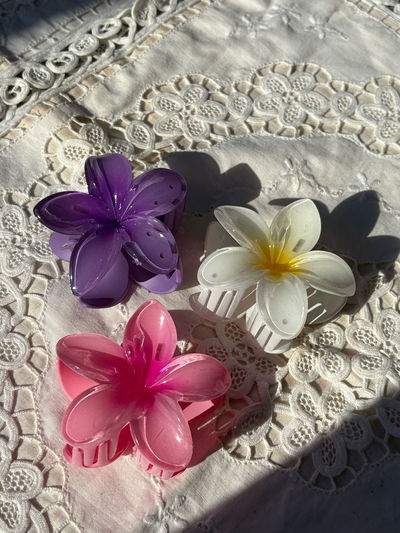 BROCHES FLOR HAWAIANA X3