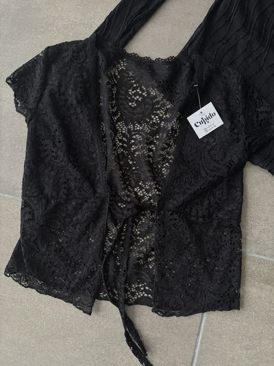 Top | TN0036