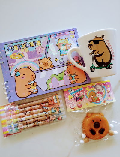 KIT CAPIBARA TAZA + SQUISHY + LIBRO PARA PINTAR + MARCADORES