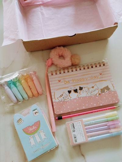 BOX CATY PLANNER + STICKY + GOMITA + LAPIZ + RESALTADORES + BIROME + BIROMES DE GEL