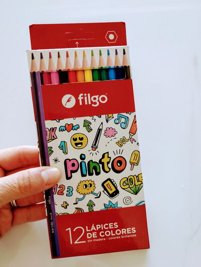 LAPICES DE COLORES FILGO X12