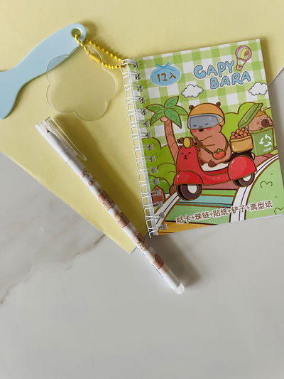 ÁLBUM DE STICKERS + BIROME CAPIBARA