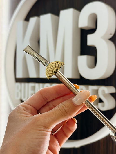 Bombilla Sol de Mayo Alpaca