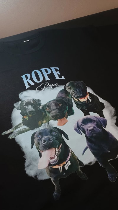 Remera Mascota Collage Personalizado