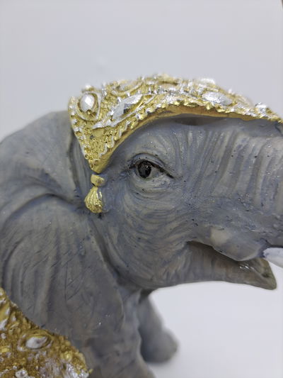 Elefante grande
