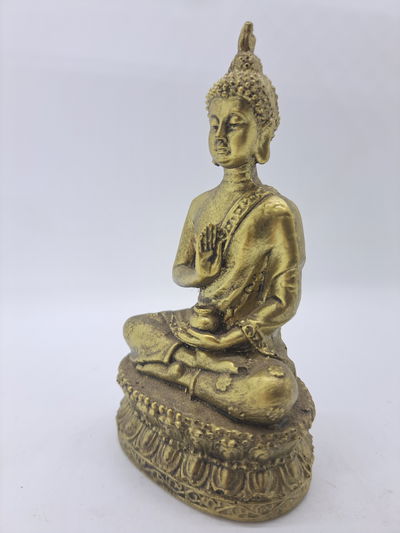 Buda medicina