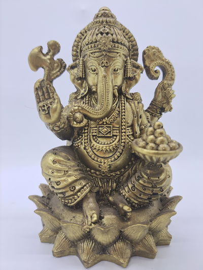 Ganesha rexina HD