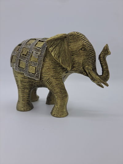 Elefante chico