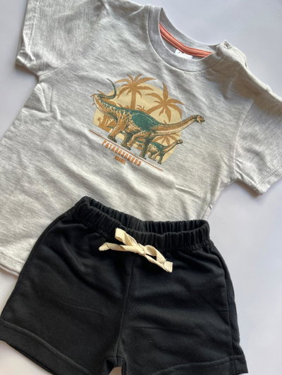 Conjunto Dino