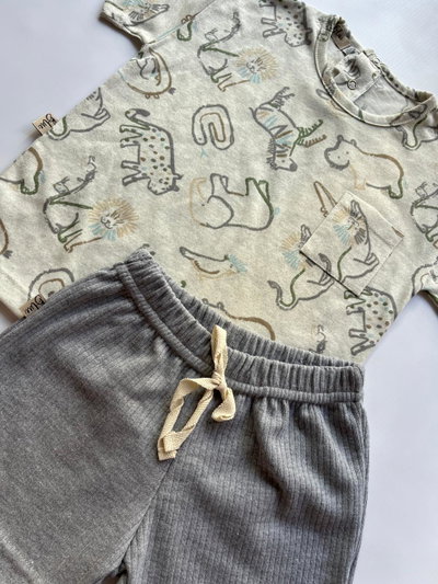 Conjunto safari