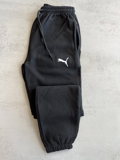 Joggins puma 