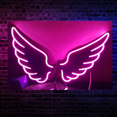 Alas LED de Neón con Dimmer y Fuentes de Alimentación