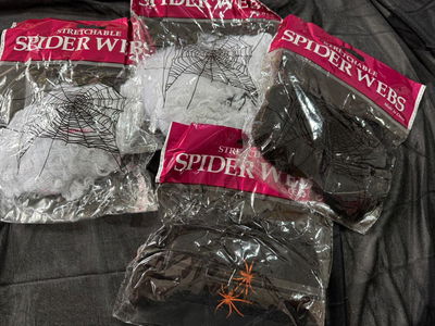 TELA DE ARAÑA CON 2 ARAÑITAS