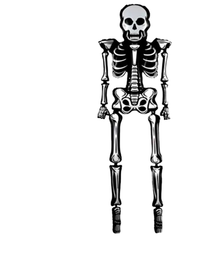 GLOBO ESQUELETO 2,9MTS