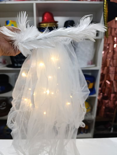 VELO DE NOVIA LED CON CORONA
