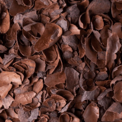 CASCARILLA CACAO 500G