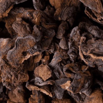 HONGO PINO 500G