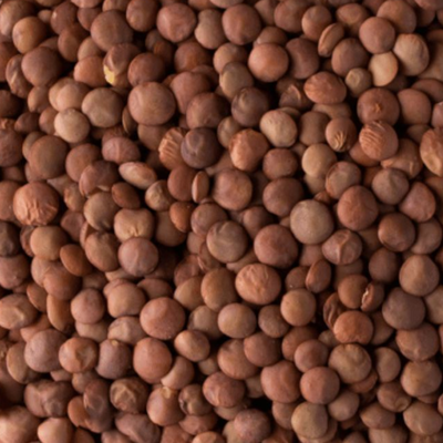 LENTEJA 500G