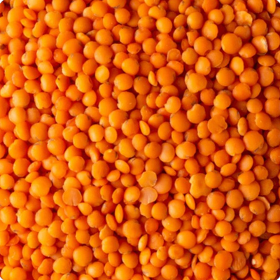 LENTEJA TURCA 500g