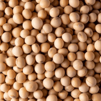 POROTO SOJA 500G