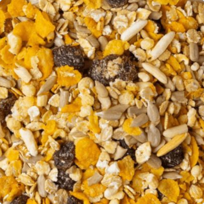 GRANOLA TRADICIONAL 500G