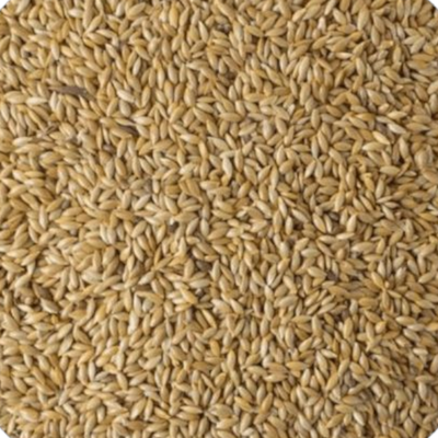 SEMILLA ALPISTE 500G