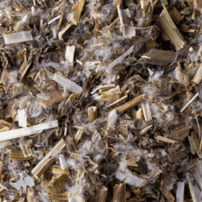 hierba Amargón diente de león 250g