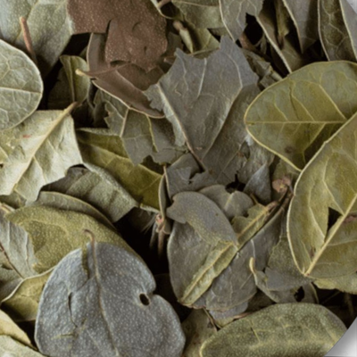 Hierba Boldo Hoja 500g