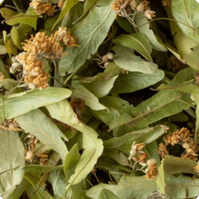 Hierba Tilo 250g