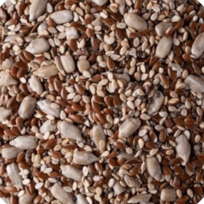 MIX 4 SEMILLAS 500G