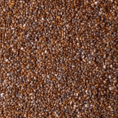 SEMILLA CHIA BB 500G