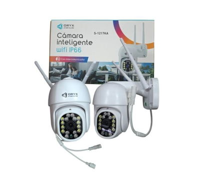 CAMARA DE SEGURIDAD INTELIGENTE S1217KA