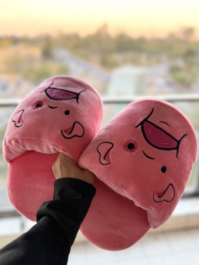 PANTUFLONES PREMIUM - PATO