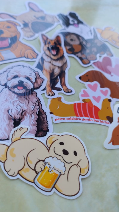 30 stickers a elección 