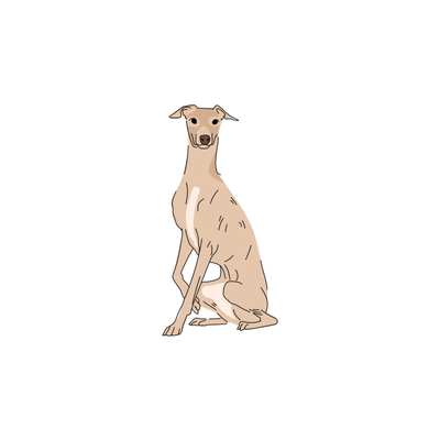 Galgo