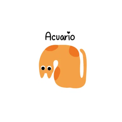 Gatito Acuario