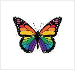 Mariposa multicolor