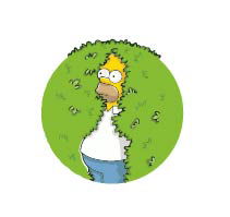 Homero arbusto