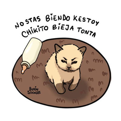No StaS BienDo Kestoy ChiKito BIEJA TONTA