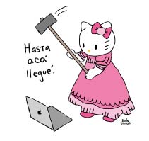 Kitty rompe compu