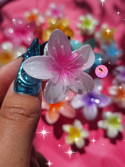Hair Clips Hawaianas