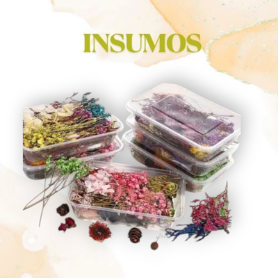 FLORES SECAS 🌼🌺💐