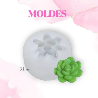 MOLDE SILICONA SUCULENTA 1J5