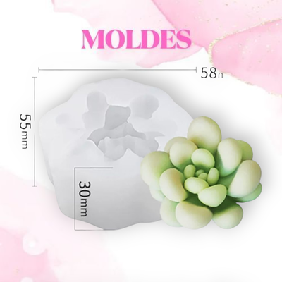 MOLDE SILICONA SUCULENTA 1N5