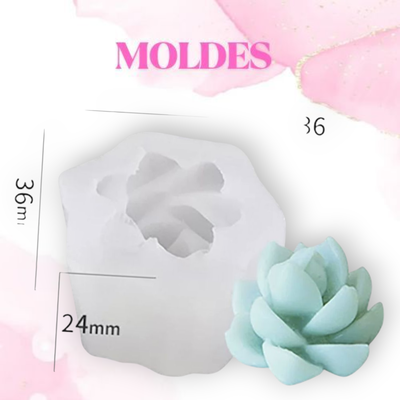 MOLDE SILICONA MINI SUCULENTA 1K5